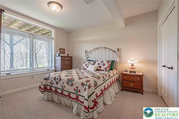 Lower Level Bedroom