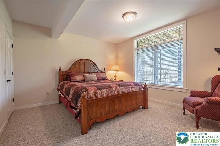 2nd Lower Level Bedroom