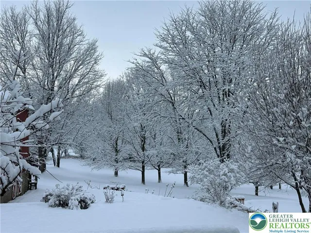 Winter beauty at the farm