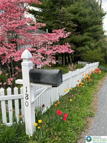 Flowering dogwood and tulips