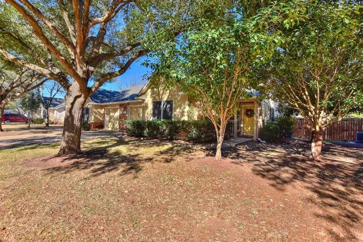 163 Prairie Springs Loop, Georgetown, Texas 78626