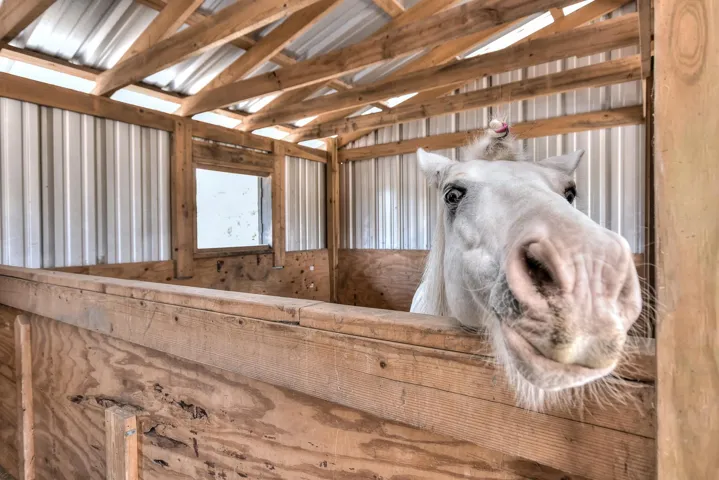 Hello from Gandalf