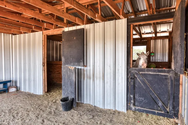 101 Pruddy Oaks Rd, Liberty Hill, Texas 78642