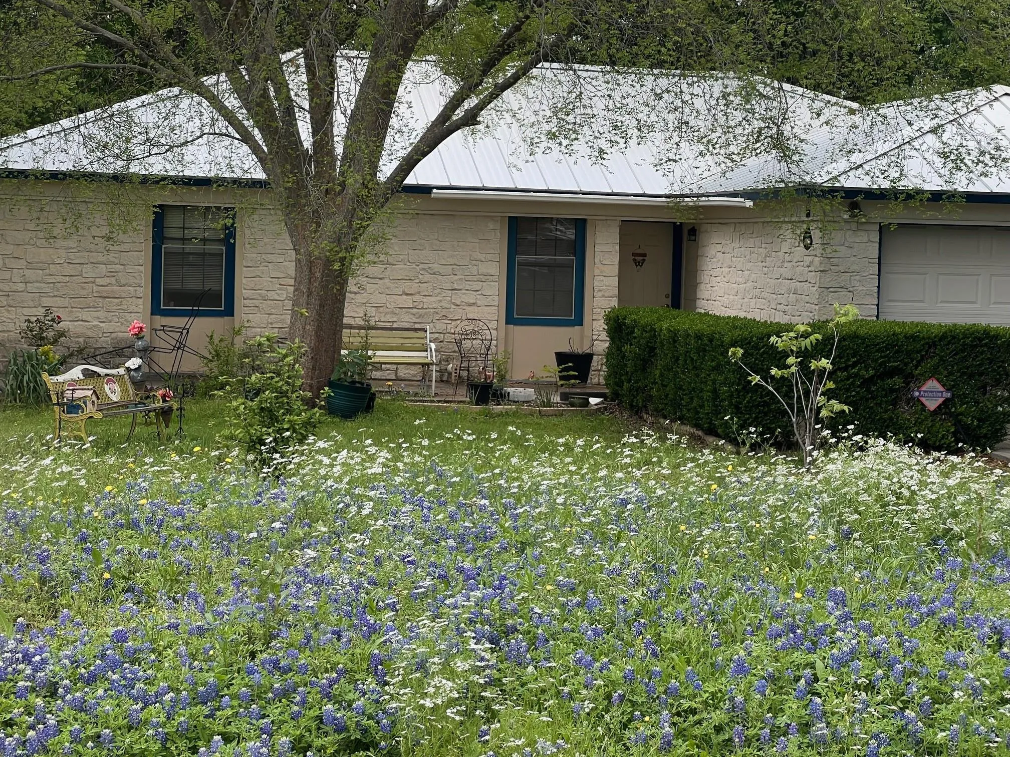 Photo of 217 GREEN PASTURE DR, Hutto, TX, 78634