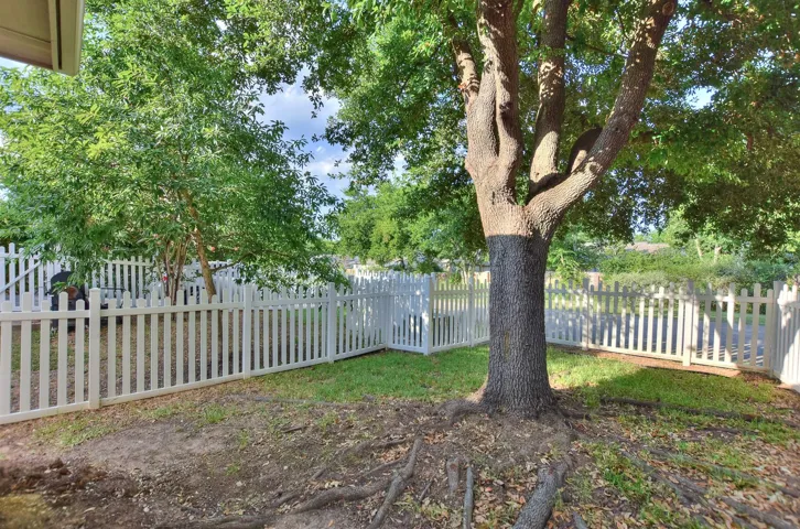 1007 Monadale Trl, Round Rock, Texas 78664