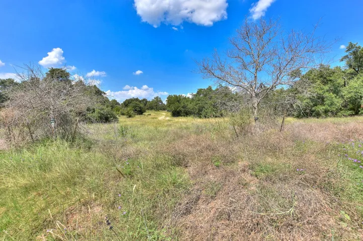 This wooded area is directly behind the backyard of this home for now....