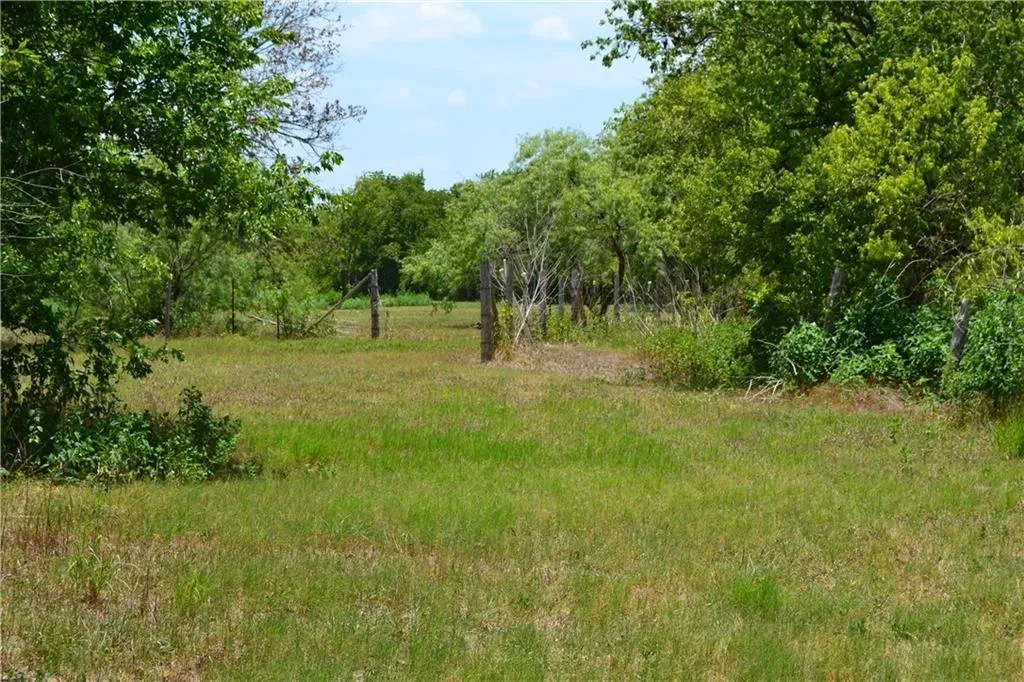 Photo 4 of 11248 TOM SASSMAN RD
