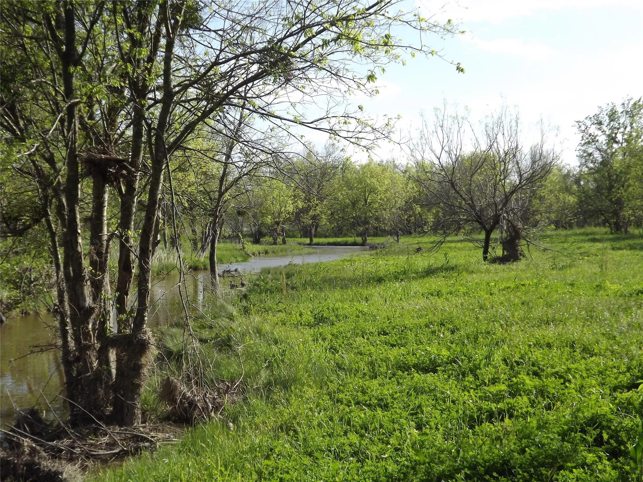 Photo 3 of 11248 TOM SASSMAN RD
