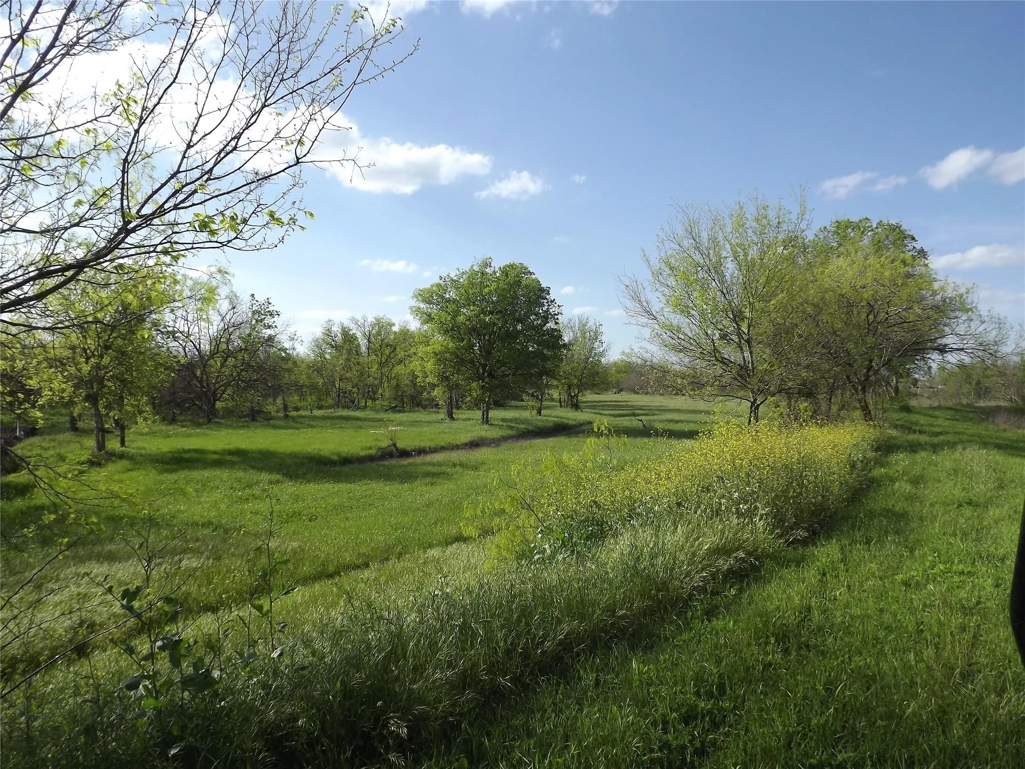 Photo 2 of 11248 TOM SASSMAN RD