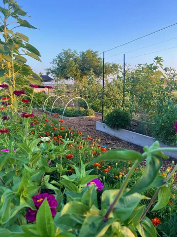 This is the same garden - Taken Summer 2024