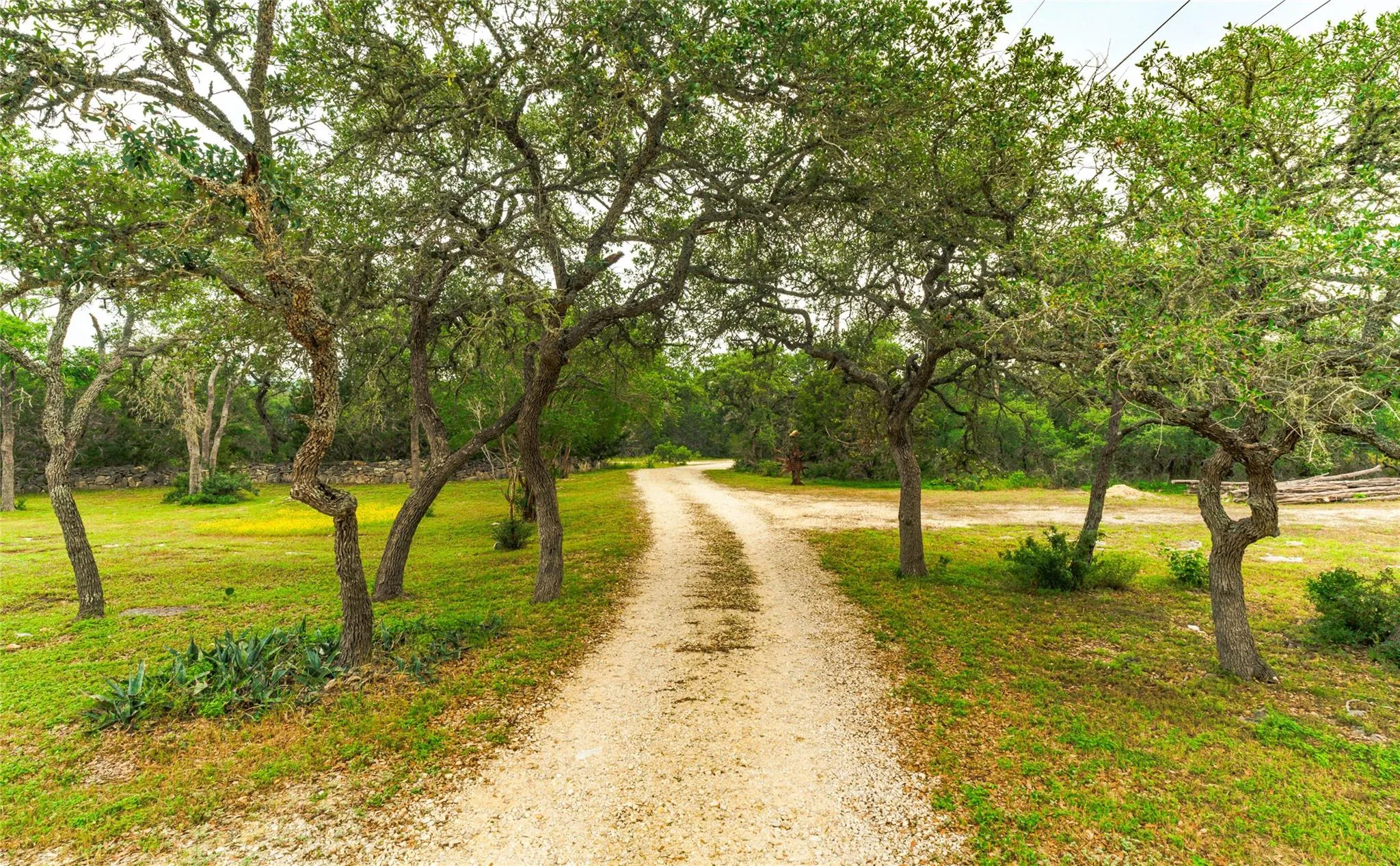 Photo 5 of 1218 OAKWOOD LOOP
