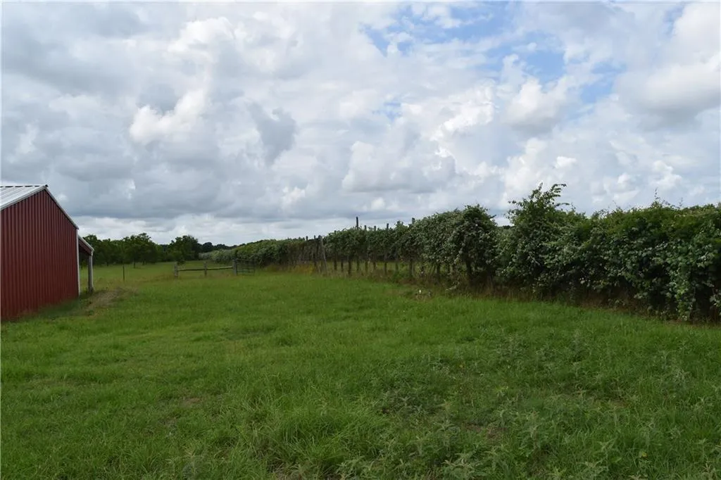 Photo of 1409 ANTIOCH RD, Paige, TX, 78659