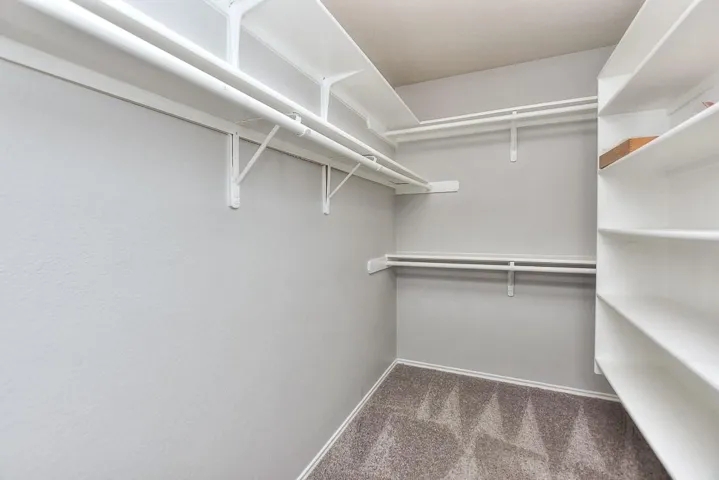 Walk in closet featuring carpet