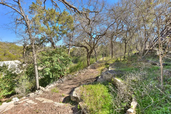 View of local wilderness
