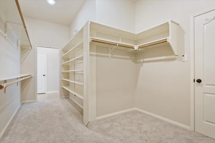 Spacious closet featuring carpet floors