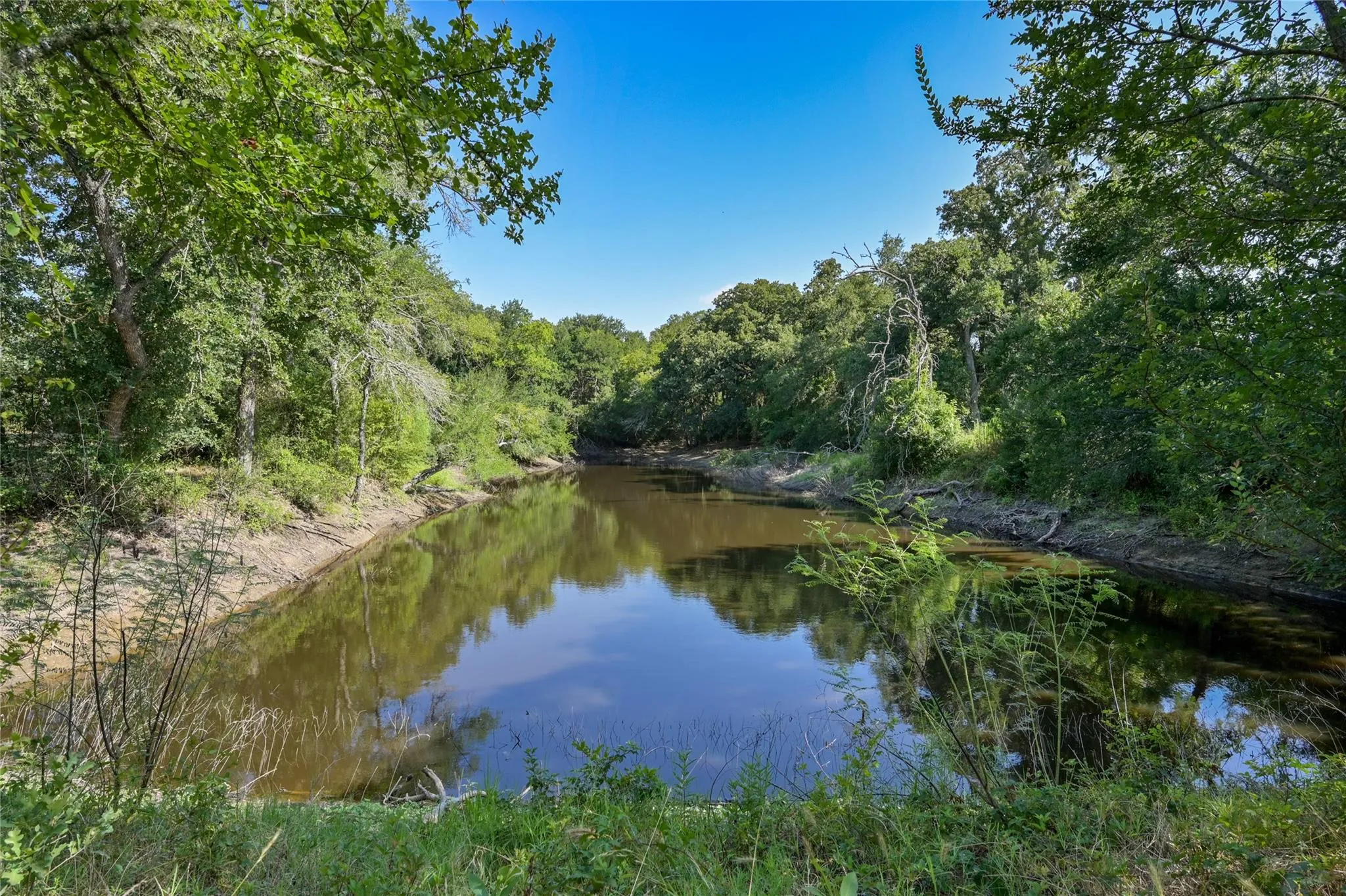 Photo 5 of 681 COUNTY ROAD 474 NONE
