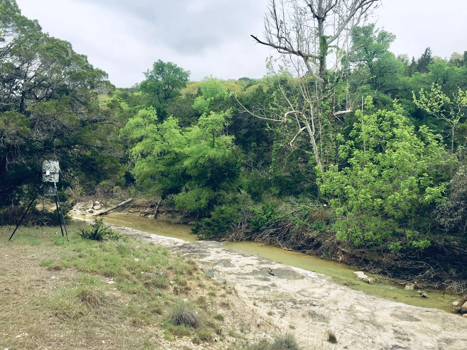 Photo of 1850 N RAINBOW RANCH RD N, Wimberley, TX, 78676