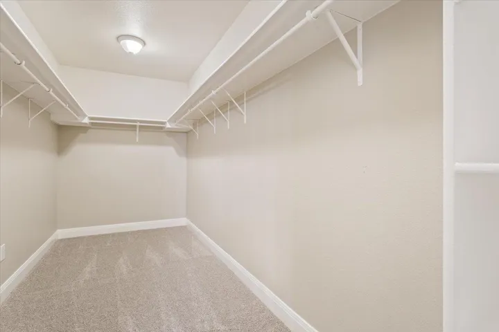 Walk in closet with light carpet