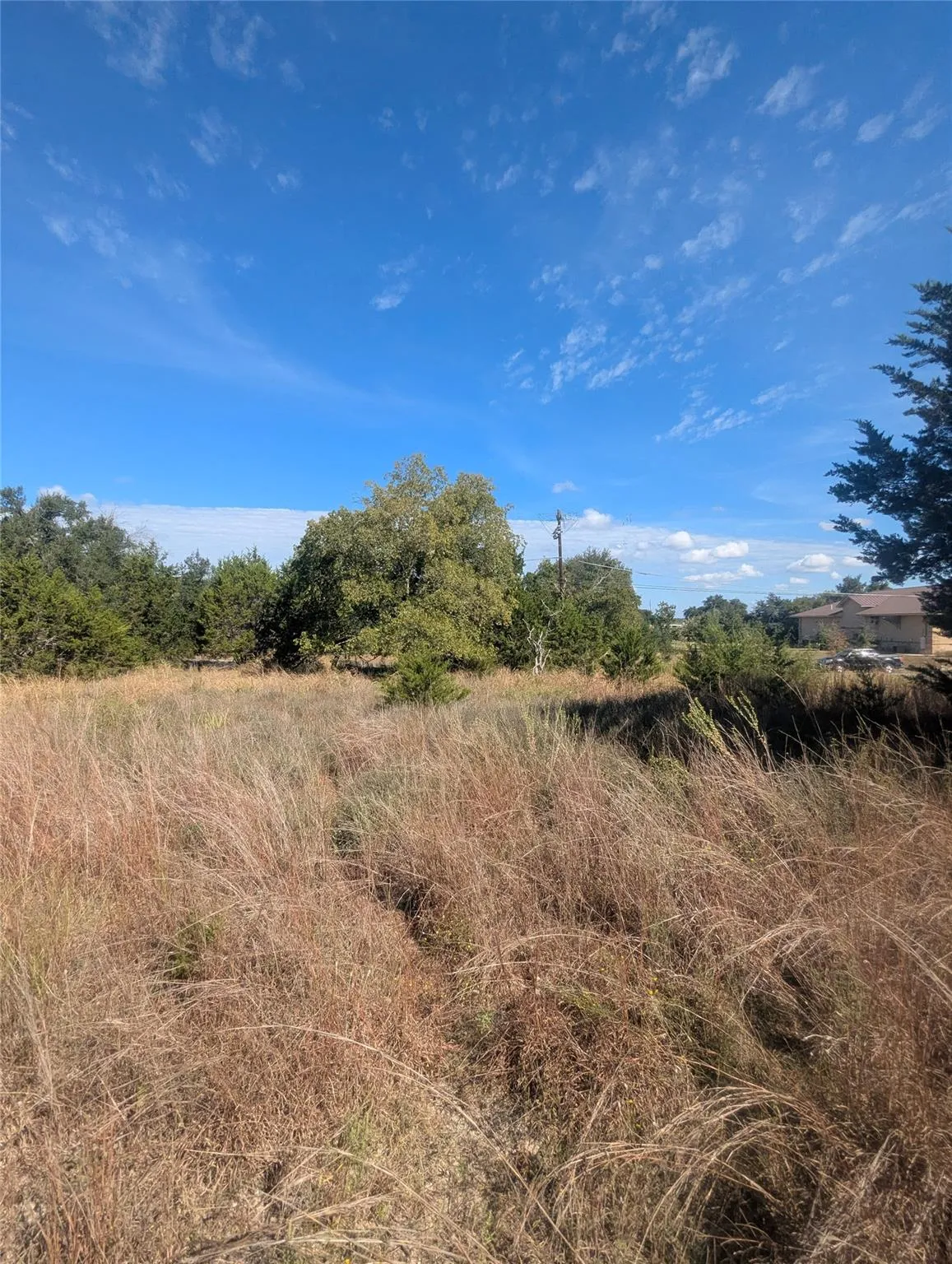 Photo 2 of 201 SPRINGLAKE DR