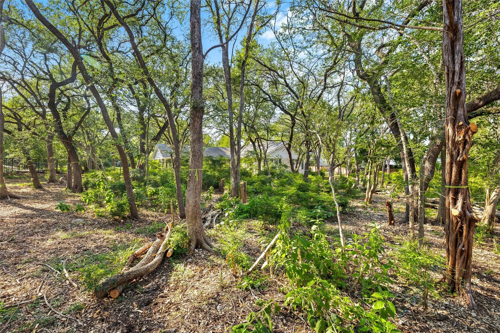 Photo 5 of 4101 SPICEWOOD SPRINGS RD