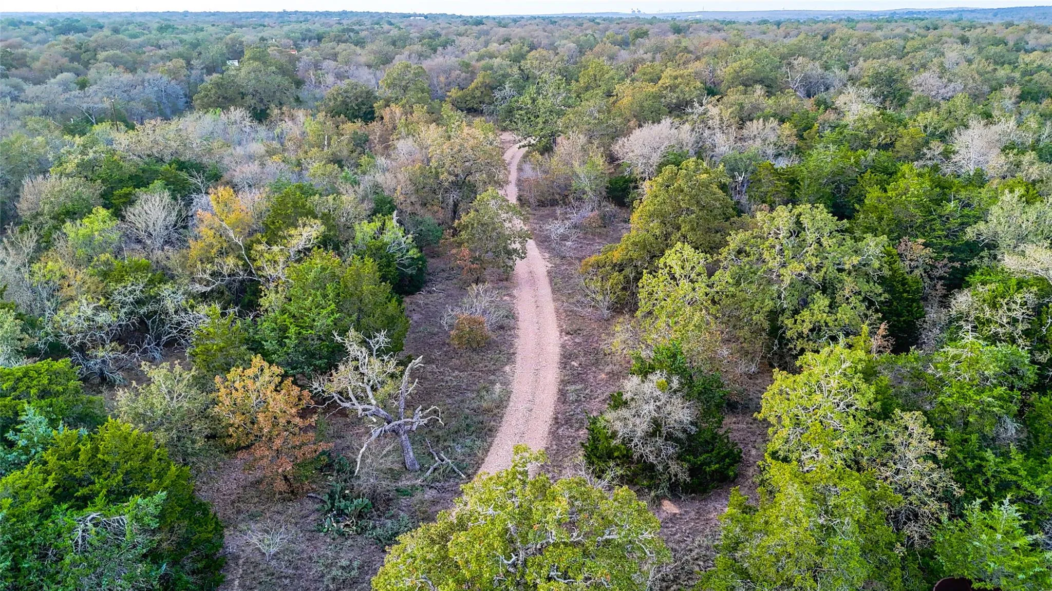 Photo 4 of 137 SHADY OAKS LOOP