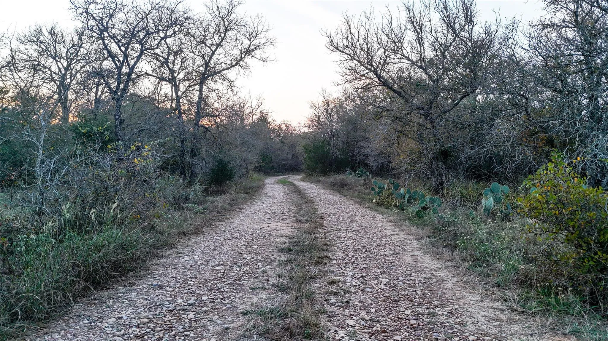 Photo of 137 SHADY OAKS LOOP, Cedar Creek, TX, 78612
