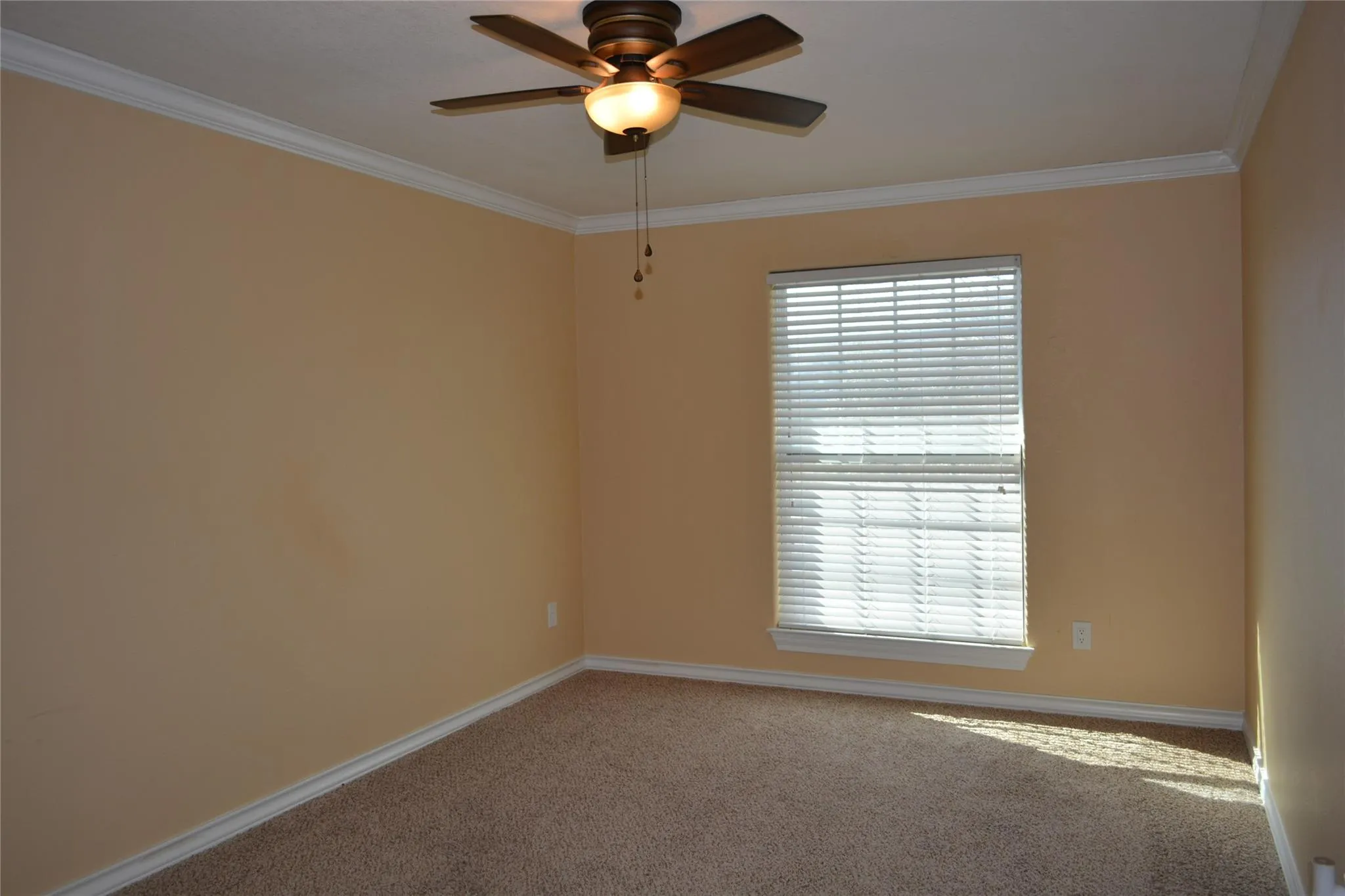 Photo 5 of 13703 CAMBOURNE DR