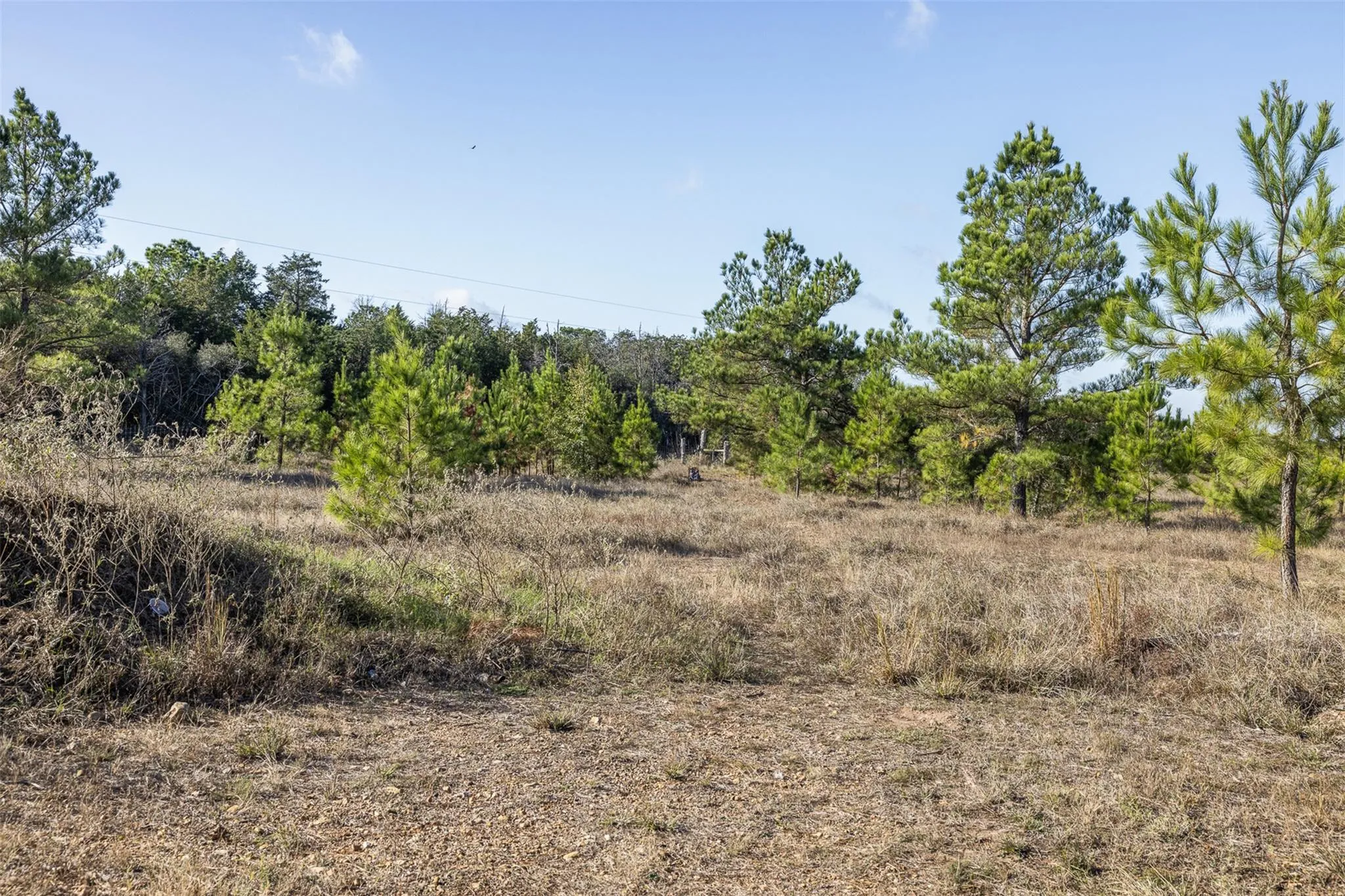 Photo 4 of 1759 GOTIER TRACE RD