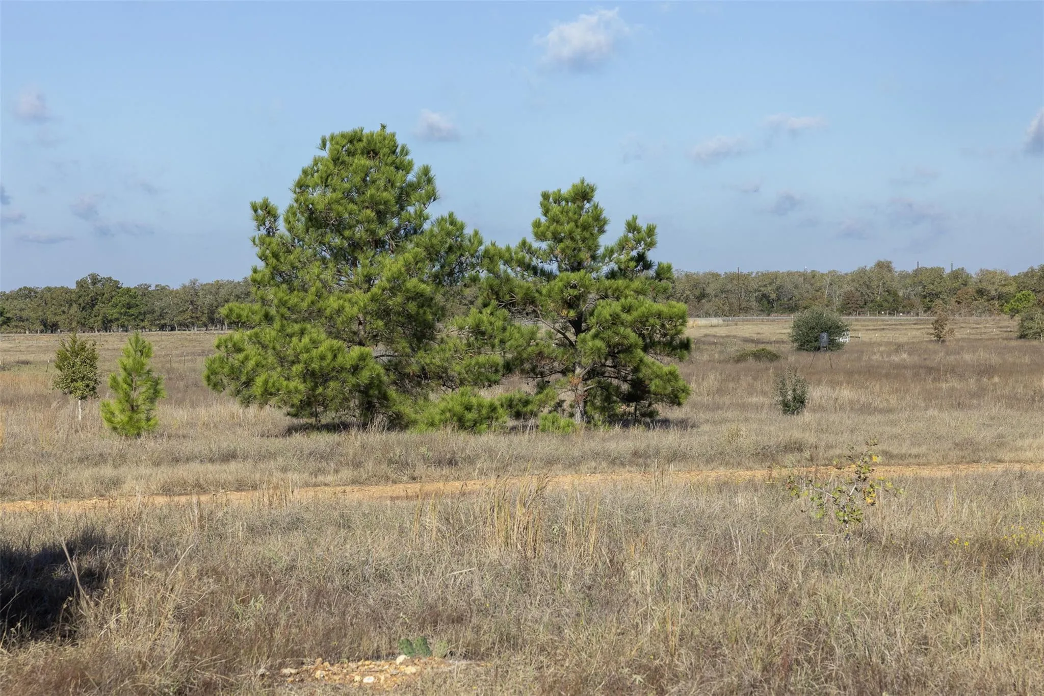 Photo 5 of 1759 GOTIER TRACE RD