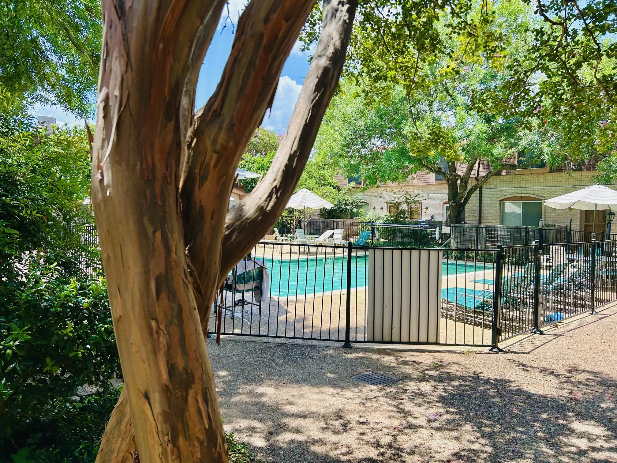Photo 3 of 7801 SHOAL CREEK BLVD #246