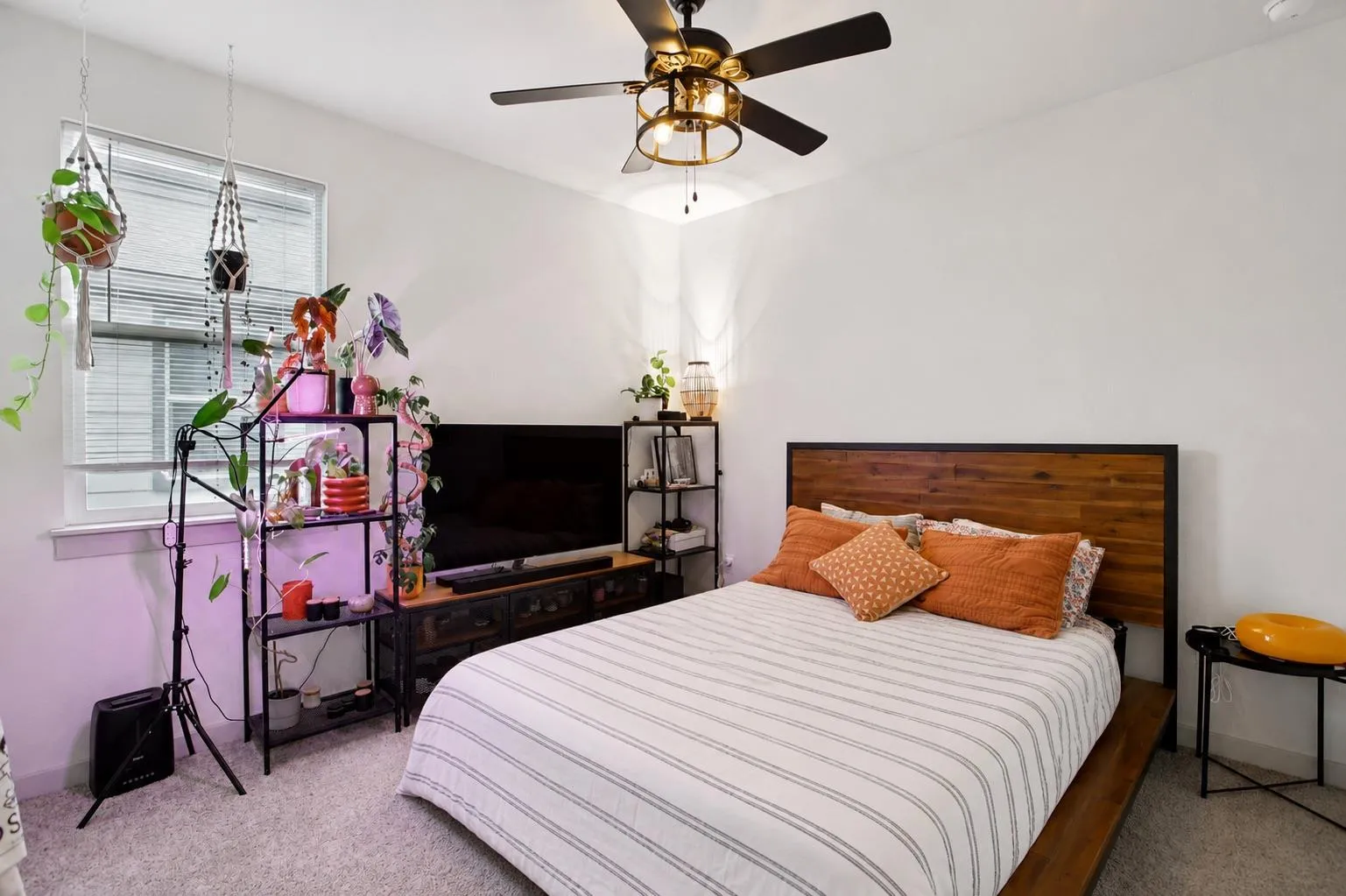 Photo 5 of 204 CUPREATA LN