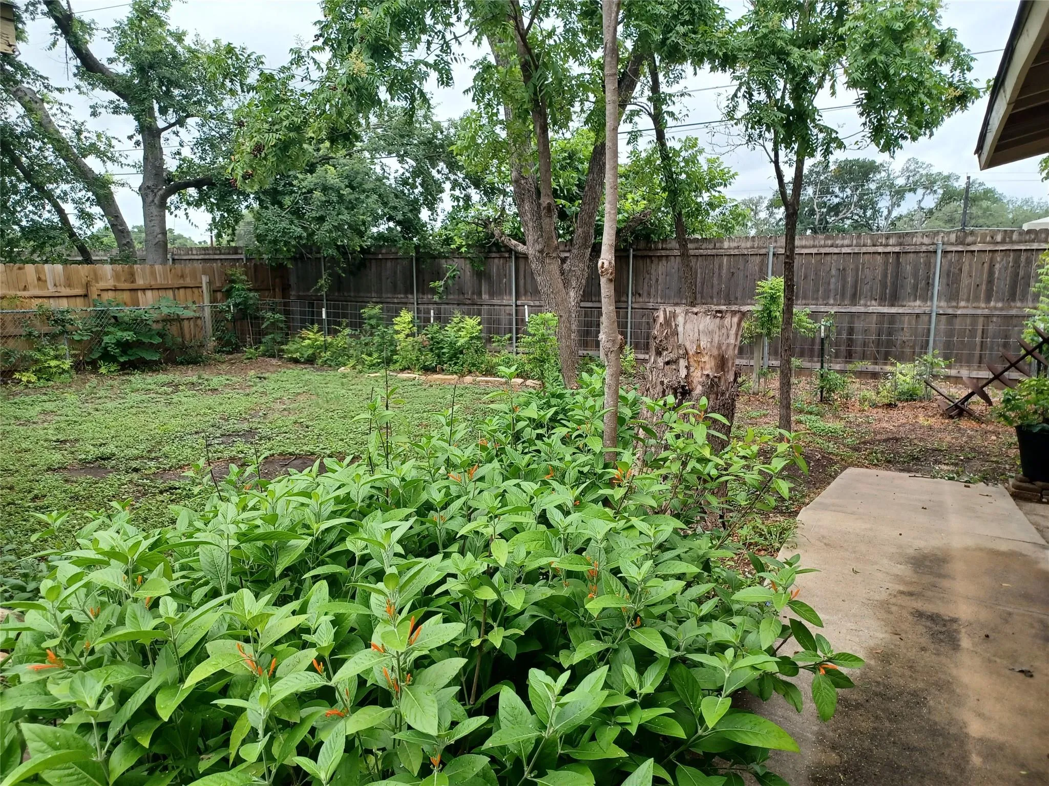 Photo 5 of 4906 WESTFIELD DR