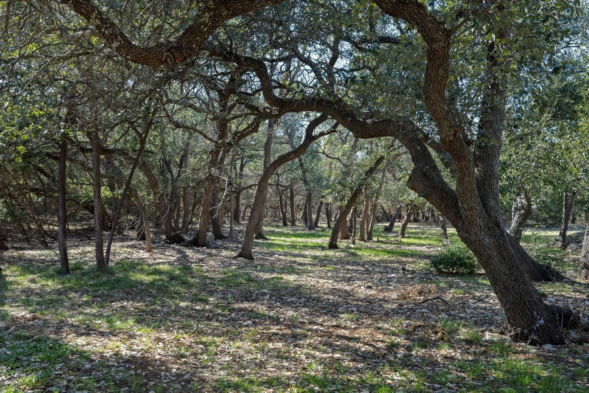Photo 4 of 75 FOUR T RANCH RD