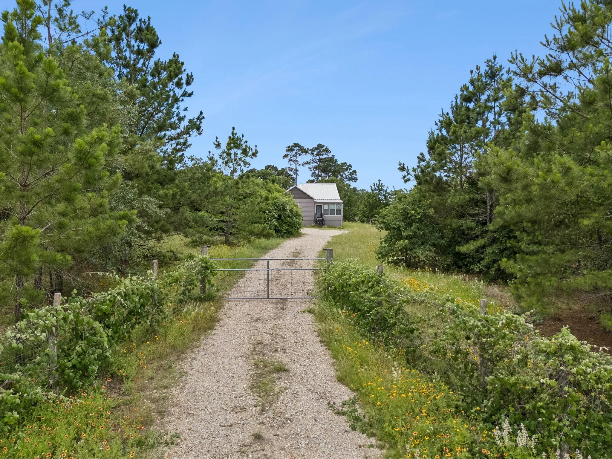 Photo of 364 PONDEROSA LOOP, Paige, TX, 78659