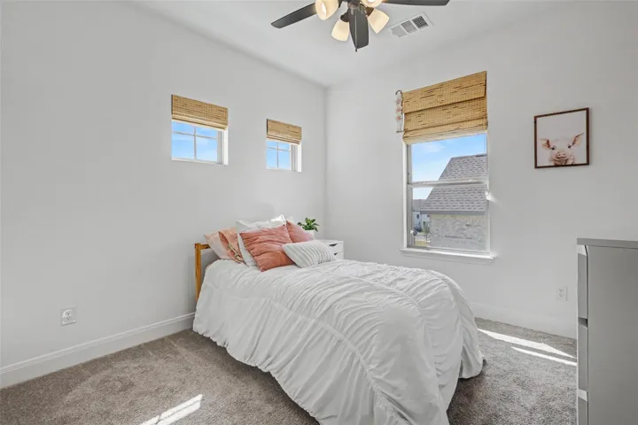 1216 Summer Moon Dr, Georgetown, Texas 78628