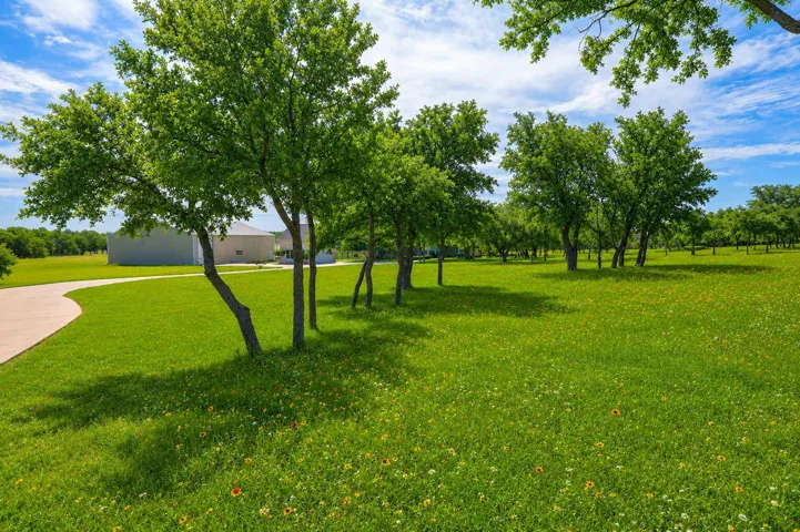 Perfect secluded driveway