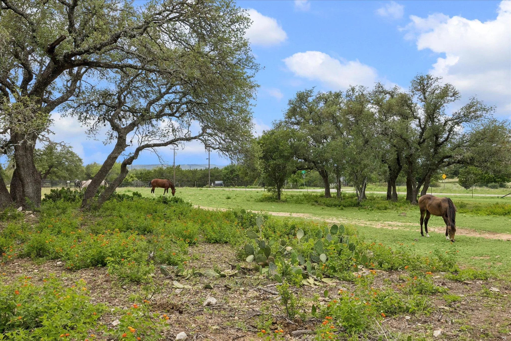 Photo of 6411 W FITZHUGH RD, Dripping Springs, TX, 78620