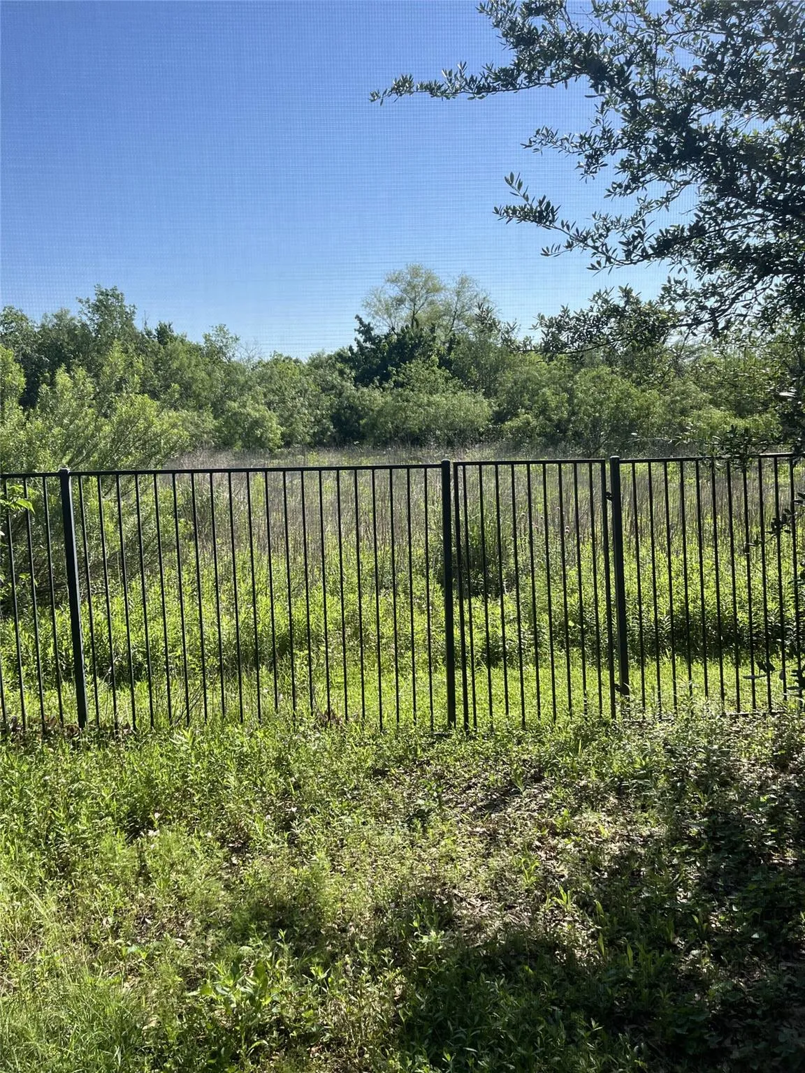 Photo 5 of 19721 ABIGAIL WAY
