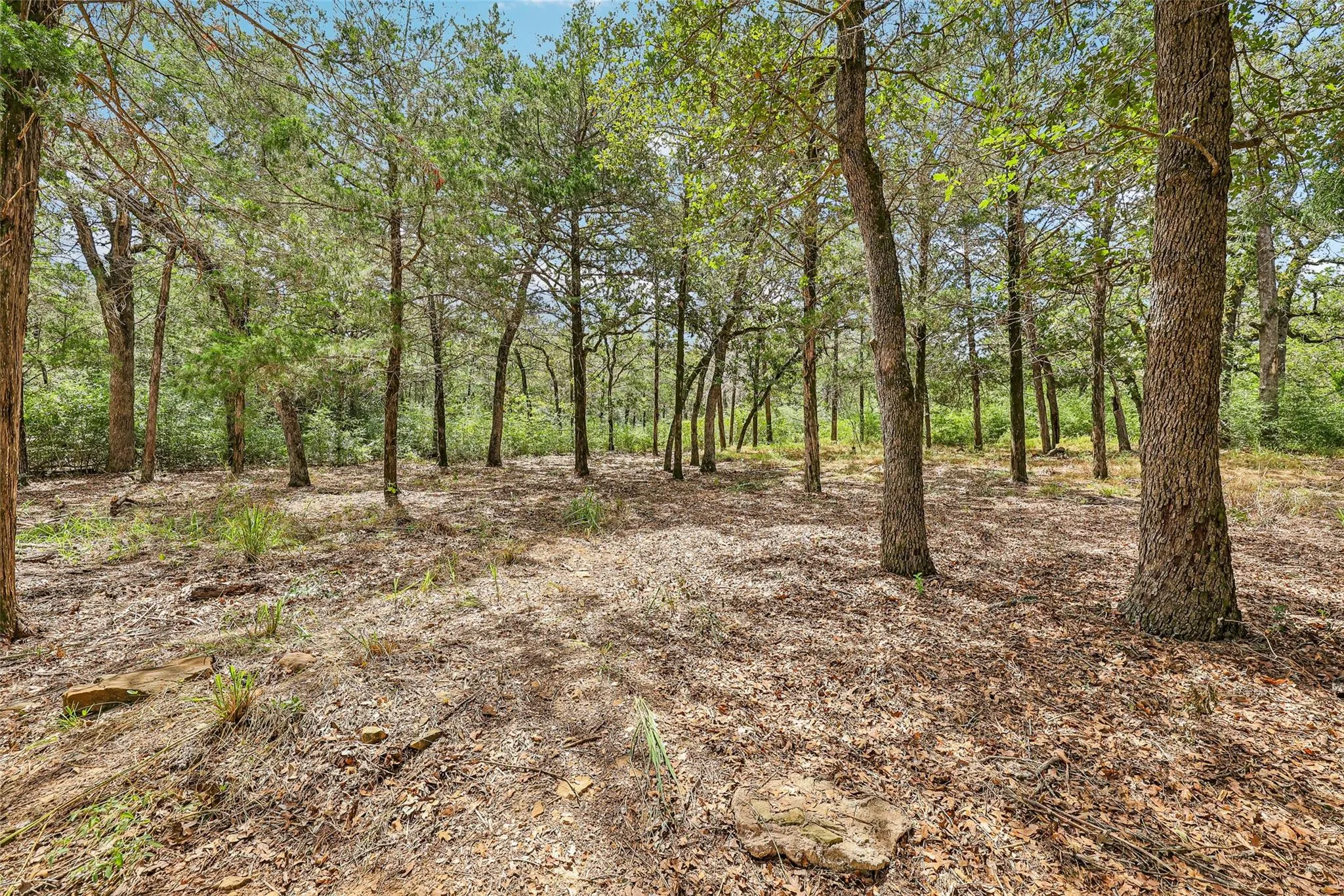 Photo 5 of 267 CORRAL RD