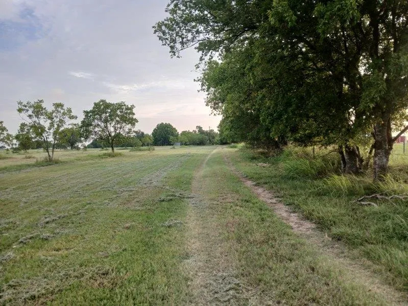Photo 2 of 2985 COUNTY ROAD 426 NONE