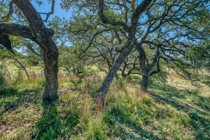 Lot 16 Sable Pass, Lampasas, Texas 76550