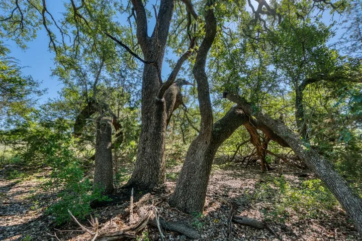Lot 16 Sable Pass, Lampasas, Texas 76550