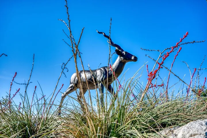 993 Blackbuck Ridge Dr, Lampasas, Texas 76550