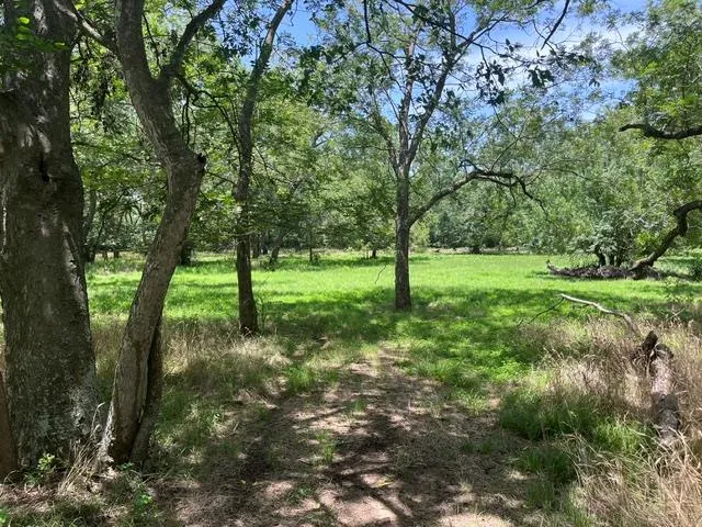 Photo of 344 & 343 BATEMAN RD, Red Rock, TX, 78662
