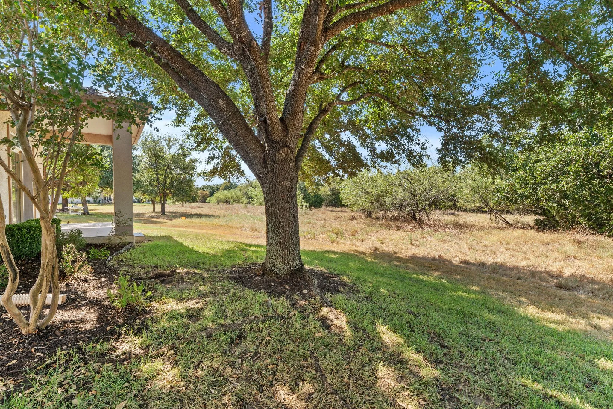 Photo 5 of 111 BONHAM LOOP
