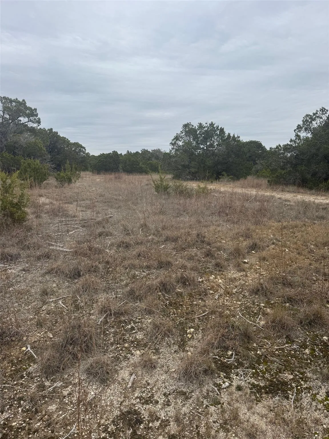 Photo 5 of 31822 MIRELA ANNE RD #LOT 4F & 4E