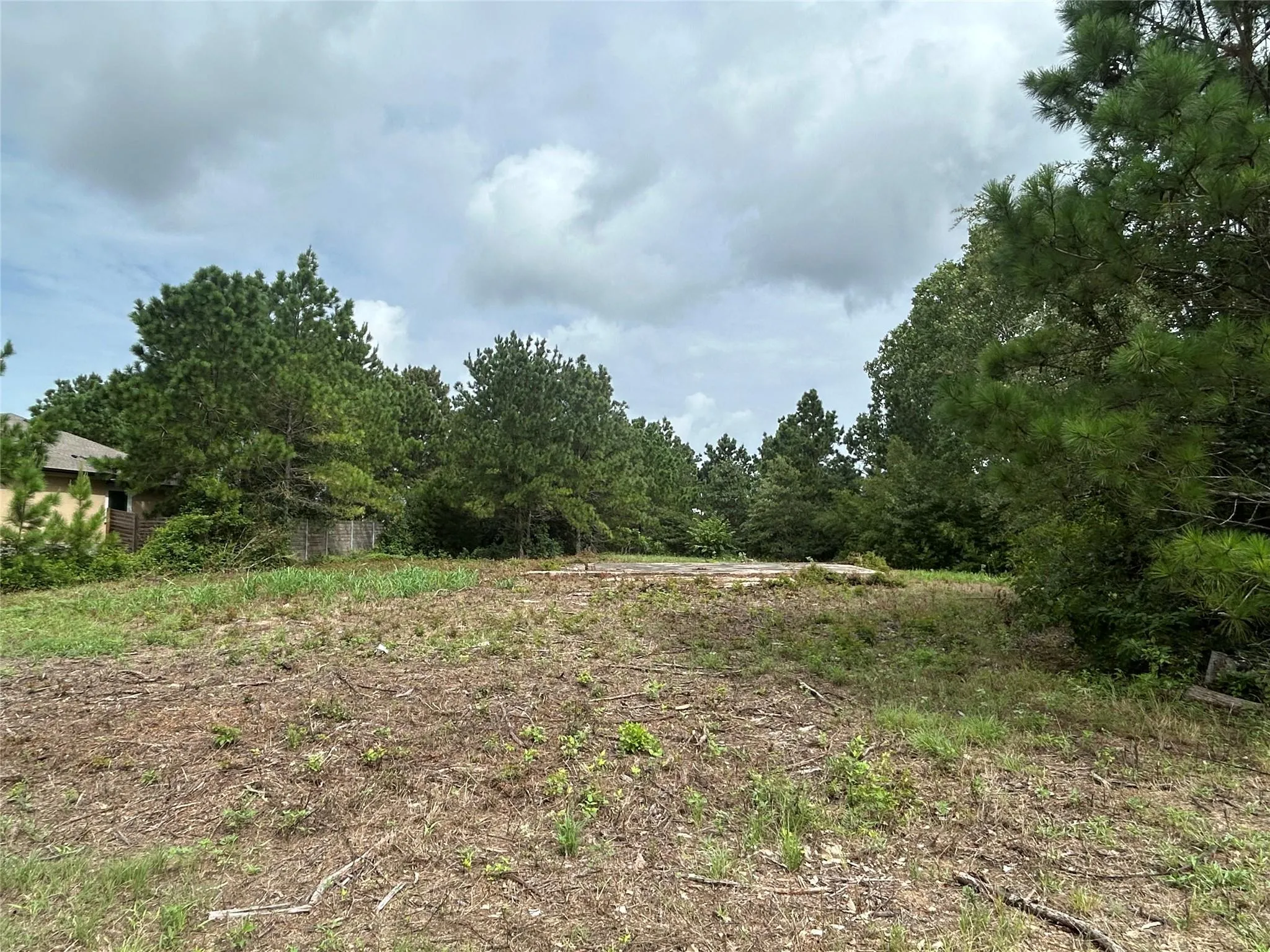Photo 5 of 158 CARDINAL LOOP