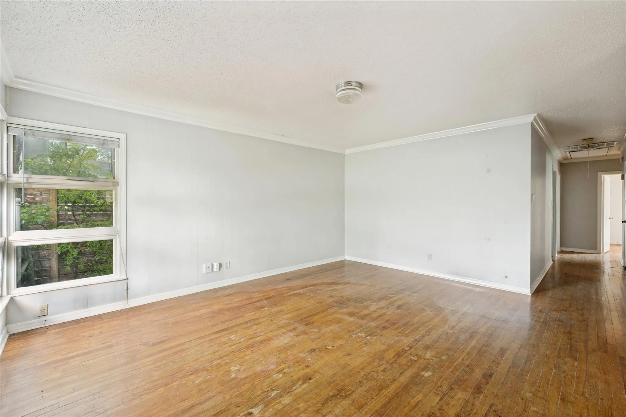 Photo 4 of 209 WOODWARD ST