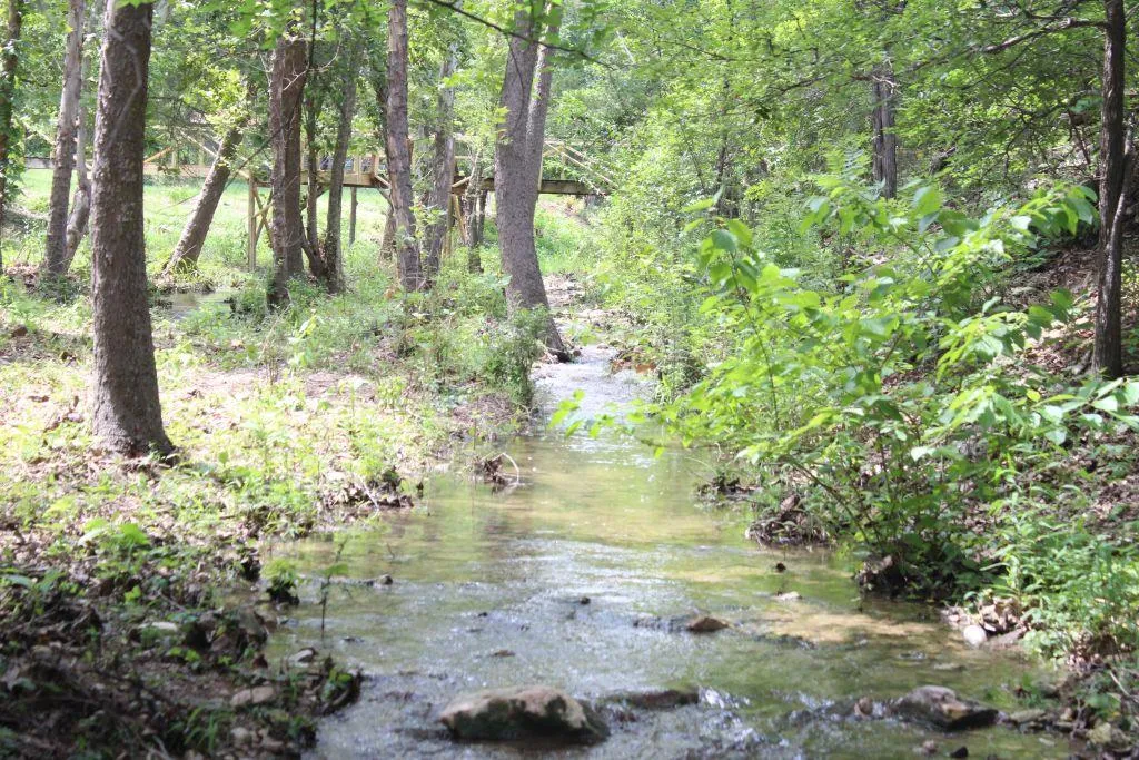 Photo 4 of 17234 E REED PARKS RD