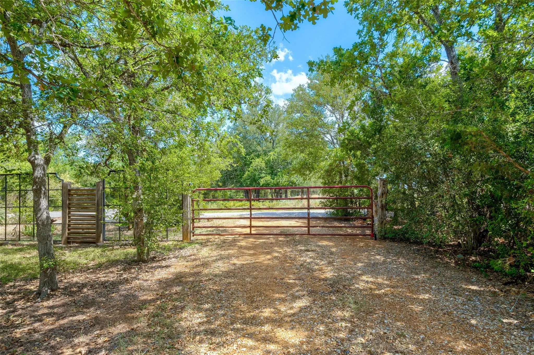 Photo 4 of 281 EARL CALLAHAN RD